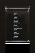 Load image into Gallery viewer, Rudolfo Quintas - Type Dataset #1