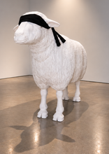 Load image into Gallery viewer, Ricardo Romero - Blindness