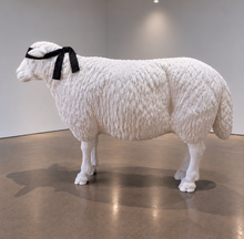 Load image into Gallery viewer, Ricardo Romero - Blindness