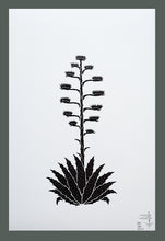 Load image into Gallery viewer, Wes Sam-Bruce  -  Agave