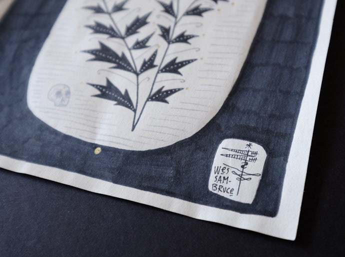 Wes Sam-Bruce - Unexpected Seeds