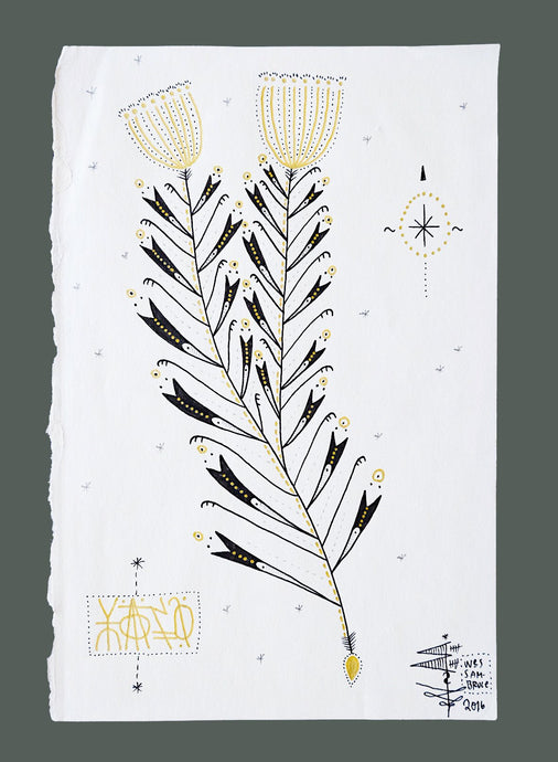 Wes Sam-Bruce - Late August Yarrow