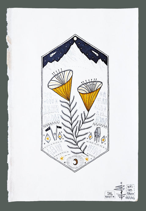 Wes Sam-Bruce - Summer Meteor Showers